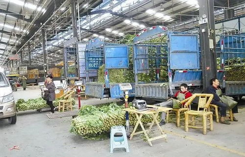用芯解讀 我國的鮮活農產品批發市場,為什么無可替代