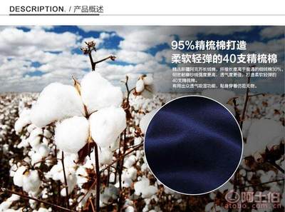 【寧奢工廠批發(fā)純棉T恤定制工作服班服廣告衫文化衫私人個性diy印logo