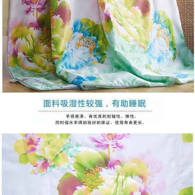【小額批發(fā) 飛愛達(dá) 20%蠶絲被夏被空調(diào)被 工廠直銷品質(zhì)保證一件代發(fā)】價格,廠家,圖片,被子、蠶絲被、羽絨被,海門愛達(dá)家用紡織品廠-