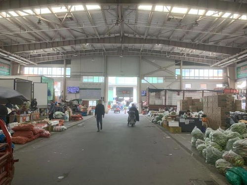 市城管局赴蘇州調研農副產品批發市場運維情況